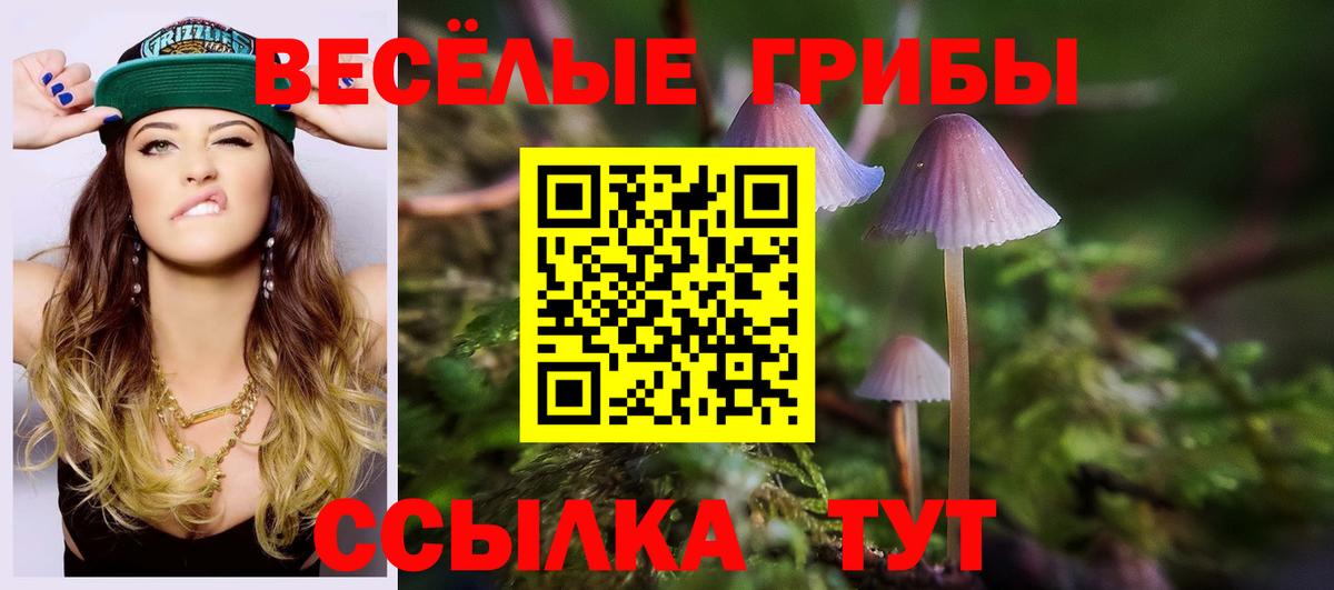 Галлюциногенные грибы MAGIC MUSHROOMS  Вход с VPN  Кольчугино 